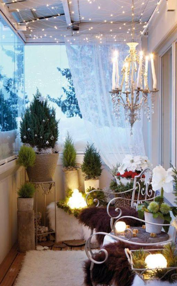 Stromek v zimní zahradě